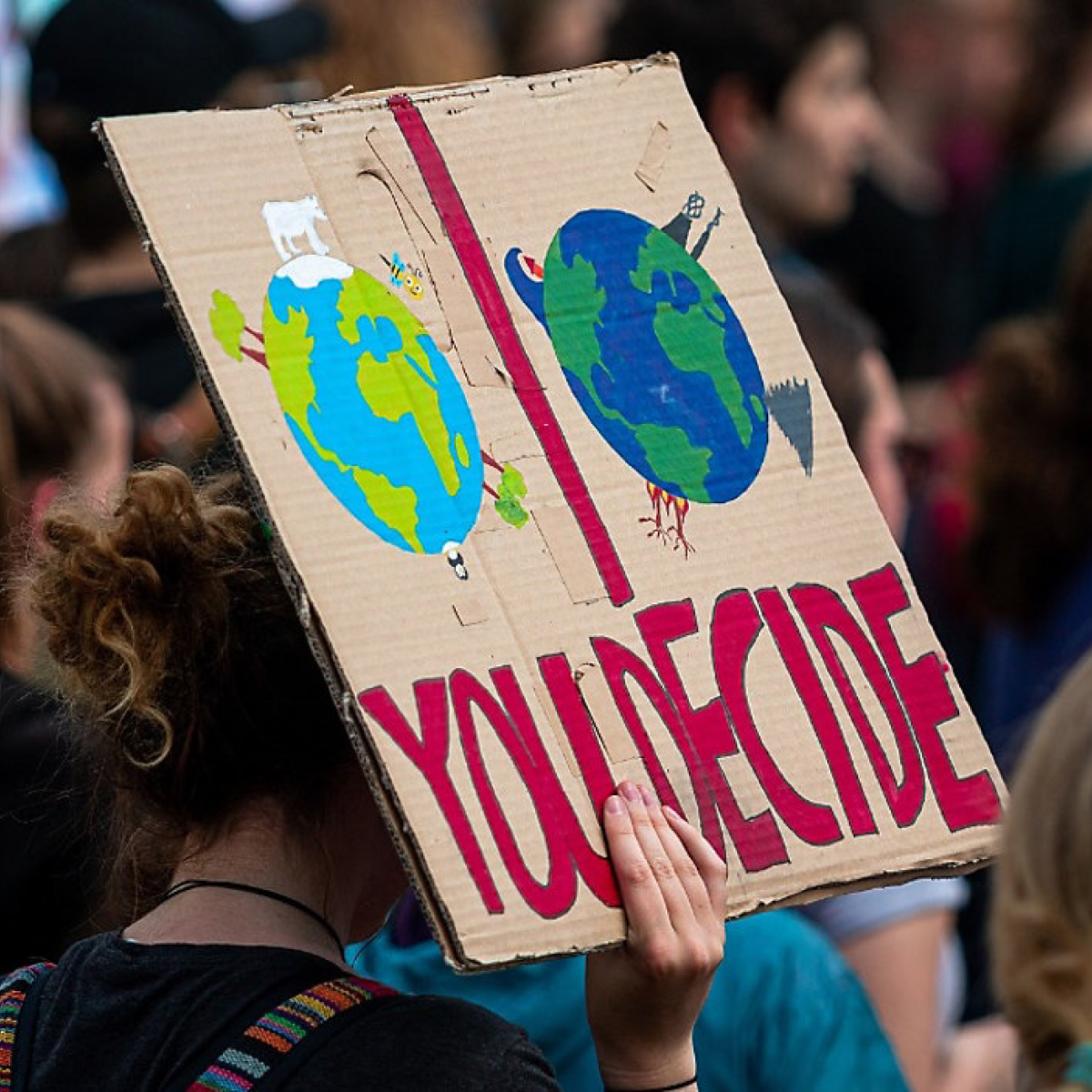 A cardboard protest sign reading "You decide" with two opposing pictures of the earth.