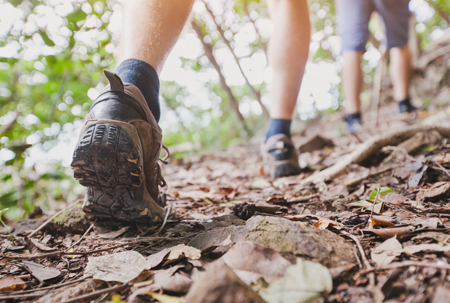 People wearing hiking shoes walking on a leaf covered trail.