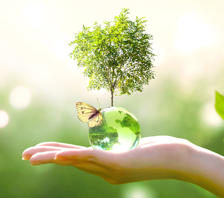 A hand holds a water drop with a butterfly and small tree growing from it.